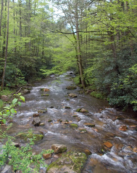 Cherokee National Forest, Tennessee.